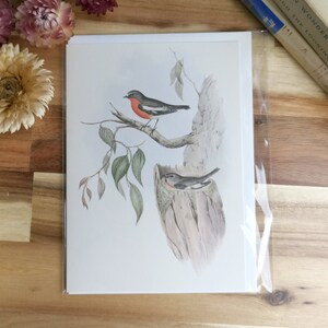 Carte Oiseau Rouge-gorge flamboyant