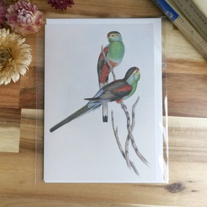 Carte d'anniversaire d'oiseau