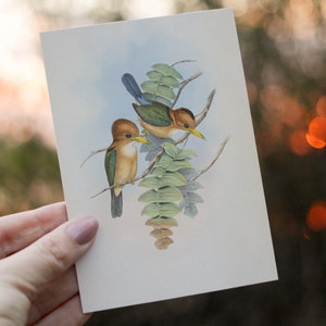 Vintage australischer Vogel Cottagecore großes A6 Lesezeichen