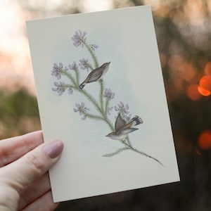 Petit oiseau imprimé John Gould - décor vintage