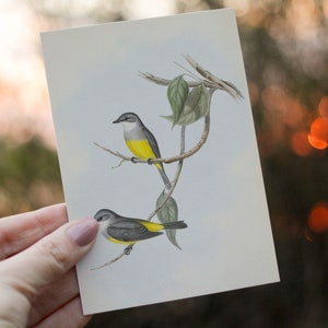 Marcador amarelo Robin A6 estampado Cottagecore para amantes de pássaros
