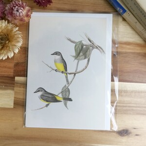 Carte Yellow Bird, rouge-gorge d'Australie
