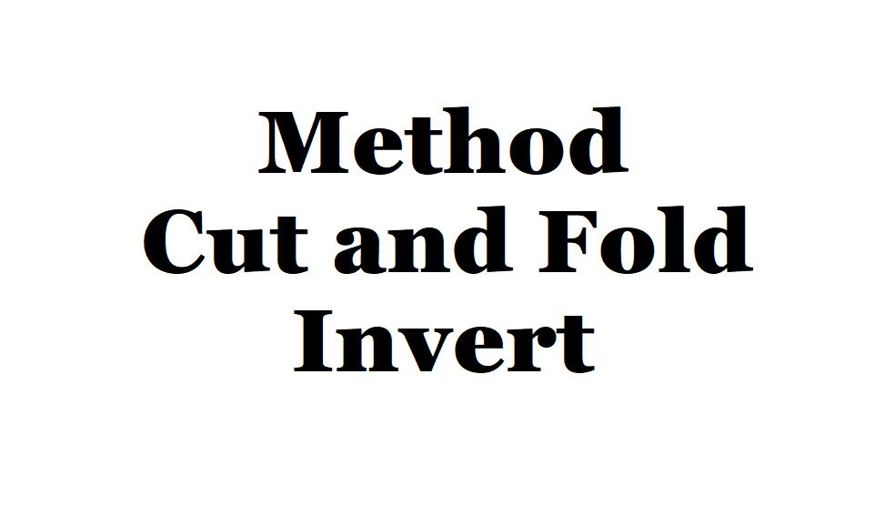 1672. Zebra Book Folding Pattern Etsy