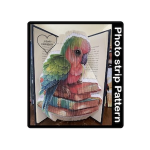 Papagei Kombi Fotoband Buchkunst Muster (1498)