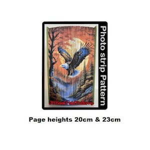 Weißkopfseeadler Landung Fotostreifen Buchkunst Muster (2472PS)