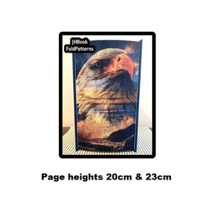 Blick durch ein Adlerauge Fotostreifen Buchkunst Muster (893PS)