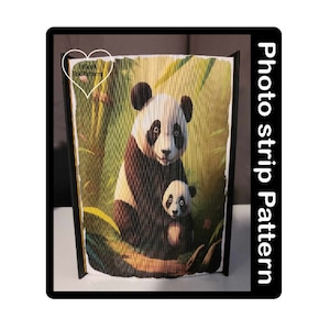 Pandas Photo strip Book art Pattern (1538PS)