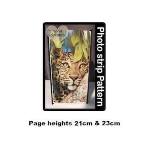 898 Leopard Photo strip Book art Pattern