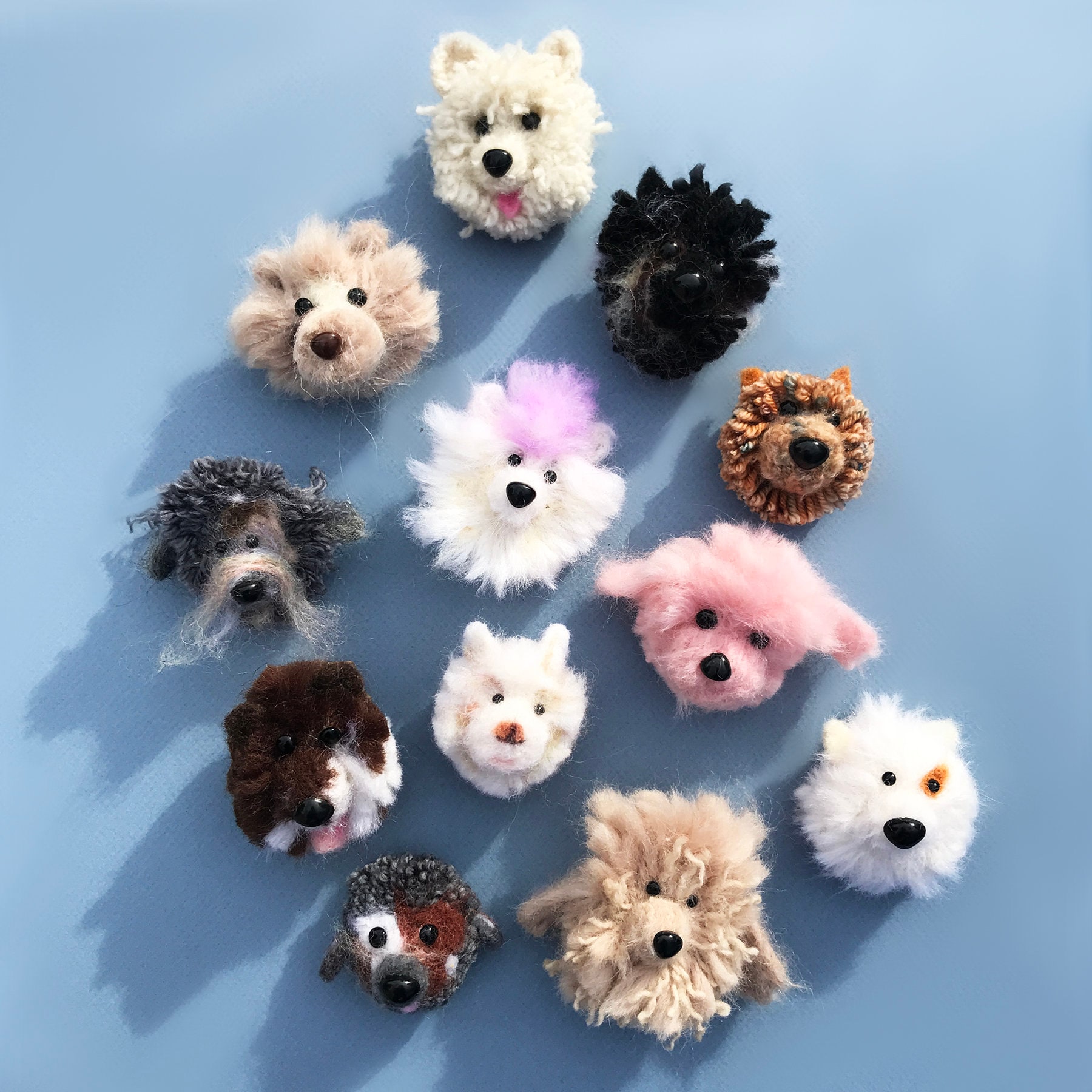 Pom the best sale dog