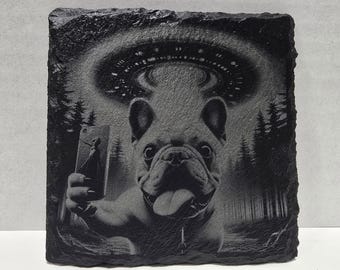 Posavasos de pizarra con forma de animal de abducción extraterrestre de otro mundo