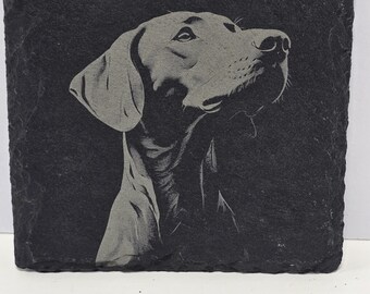 Posavasos de pizarra Weimaraner