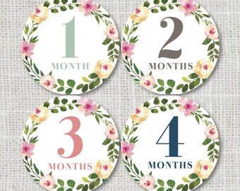 baby month stickers etsy