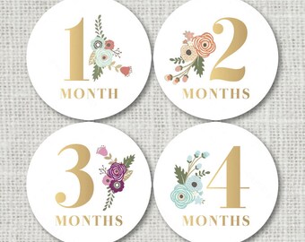 baby month stickers etsy
