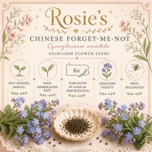 Può includere: Una pubblicità illustrata per i semi di fiori antichi di non ti scordar di me cinesi di Rosie. L'immagine presenta il testo "Rosie's" in oro, insieme a dettagli sui semi, tra cui che sono auto-seminanti, hanno un alto tasso di germinazione e vengono raccolti nella zona 6A (Pennsylvania).