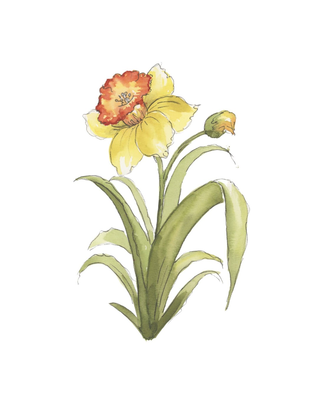 Original Watercolor Daffodil Tutorial Painting Kit Fun Wall Decor