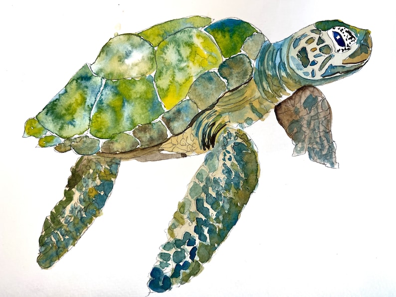 ORIGINAL Watercolor Turtle Tutorial floral Painting kit / Home Decor / Fun wall Decor / watercolor tutorial /Art of the Day image 1
