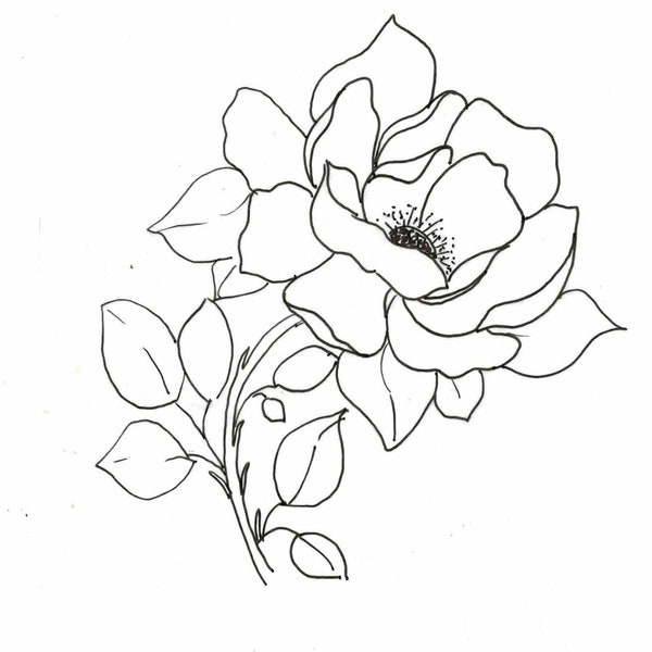 DIGITAL ONLY- Magnolia Drawing