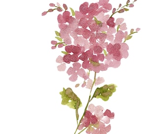 DIGITAL ONLY- Pink Floral Watercolor Worksheets on YouTube