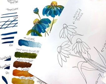 Watercolor (privates) Worksheets African Daisies YouTube