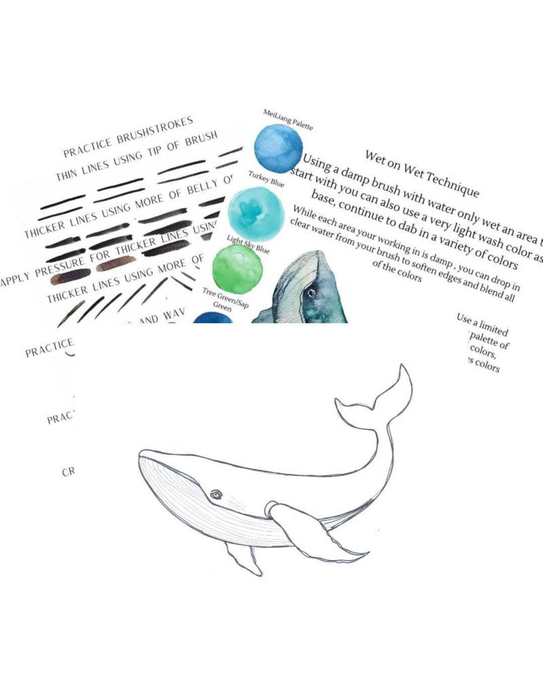 DIGITAL ONLY- Whale Watercolor Youtube Companion Worksheets - Etsy
