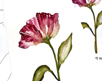 DIGITAL ONLY- Transparent Poppy Watercolor Worksheets on YouTube
