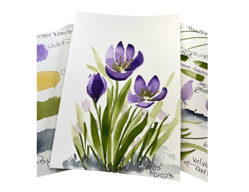 DIGITAL ONLY crocus Watercolor 5 x 7 Worksheets on YouTube image 1