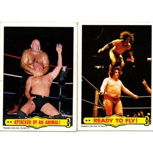 WWF Ringside Action The Animal Jimmy superfly trading cards 1985 Topps