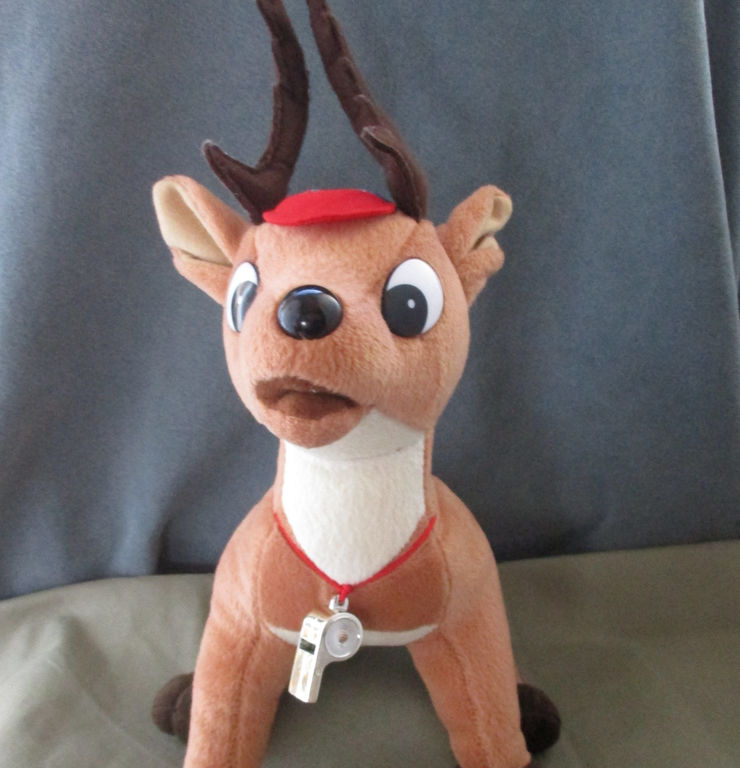 coach stuffed dog