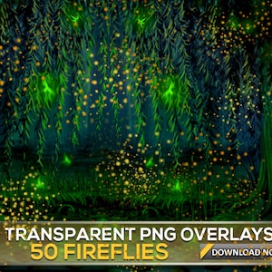 50 FIREFLY TRANSPARENT PNG Photoshop Overlays, Fireflies Photoshop Overlays, Firefly Light Overlays, Firefly Digital Background, Png Firefly