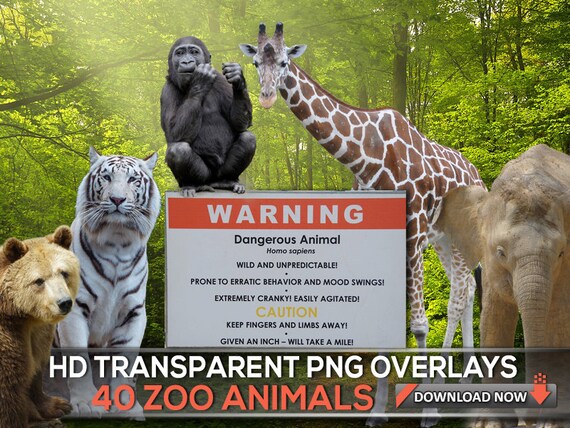 Download 5300 Background Zoo Hd Paling Keren