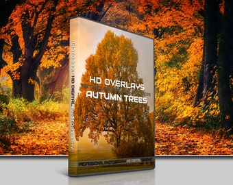 200 AUTUMN TREES PHOTOSHOP Overlays, Digital Textures, Backgrounds, Backdrops, Photo, Photography, Autumn, Forest, Trees, Wood, Fall, Leaves