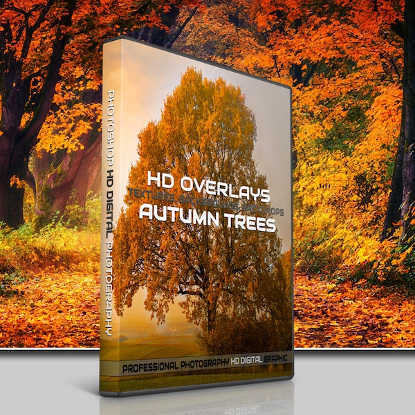Fall Trees - Etsy
