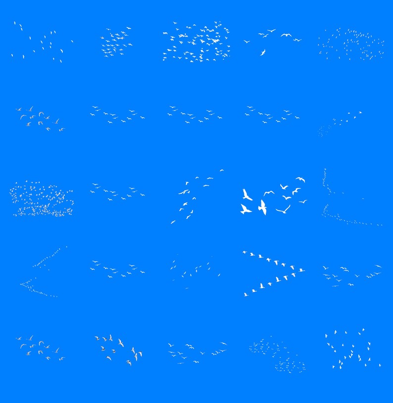 Bird Pattern Overlay 100 Bird Flock PNG Overlays: Transparent Photoshop Files - Etsy