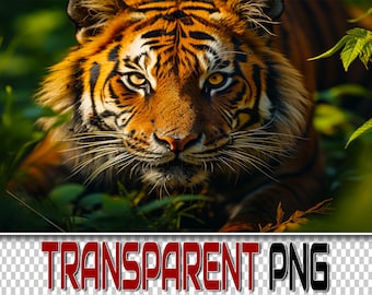 100 Tiger PNG Overlays: Transparent Wildlife Graphics (Digital Download)