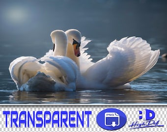 100 Swan PNG Overlays: Transparent Photoshop Clipart (Digital Download)