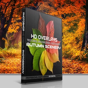 200 AUTUMN PHOTOSHOP OVERLAYS, Backgrounds, Backdrops, Digital Photography, Textures, Autumn, Magic Forest Trees, Wood, Fall, Leaves, Nature