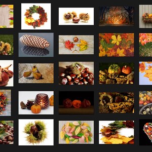 200 AUTUMN PHOTOSHOP OVERLAYS, Backgrounds, Backdrops, Digital ...