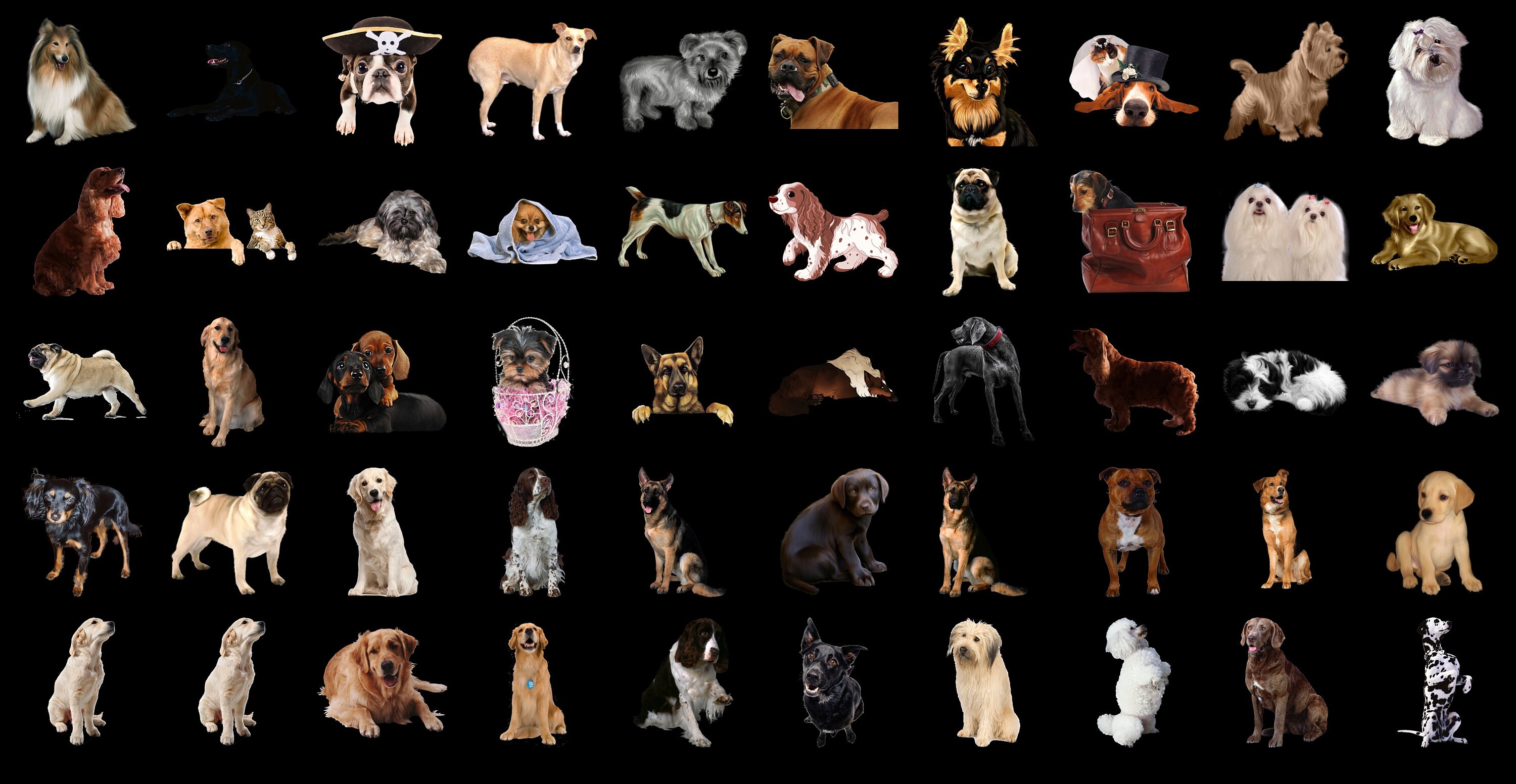 300 Dogs PNG Overlays: Transparent Puppy Clipart (digital Download) - Etsy