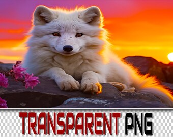 60 Fox Transparent PNG Overlays: Wildlife Clipart (Digital Download)