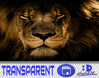 Lion PNG Overlays: Transparent Wildlife Clipart (Digital Download)