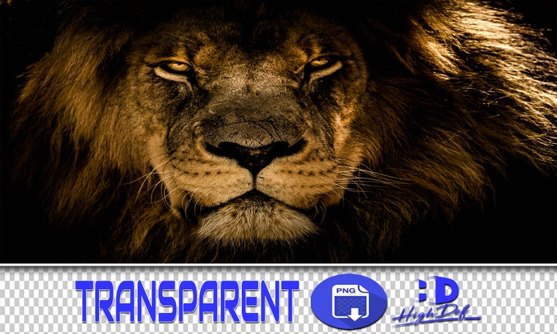 100 LIONS TRANSPARENT PNG Photoshop Overlays, Png Animals, Png Wildlife, Png Files, Photoshop Png Clipart Graphic, Png Lion, Png Wild Cat image 1