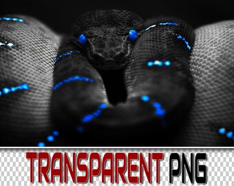 100 Snake PNG Overlays: Transparent Photoshop Clipart (Digital Download)
