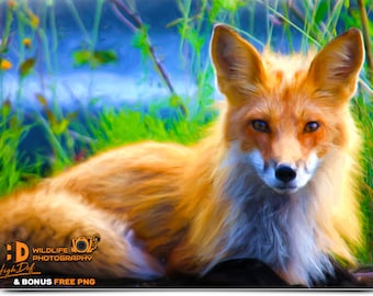 100 FOX WILDLIFE DIGITAL Animals Photography, Photoshop Overlays, Backdrops, Backgrounds, Graphics, Prints, Photos, Images, Pictures, Art