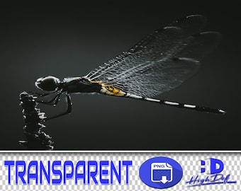 50 Dragonfly Transparent PNG Overlays: Wildlife Clipart (Digital Download)