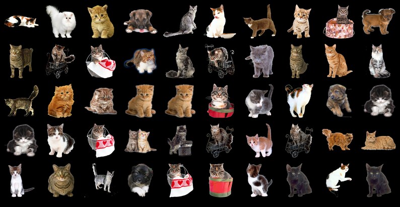 Cat Sticker Overlay 300 Cat PNG Overlays: Transparent Photoshop Clipart (digital Download ...