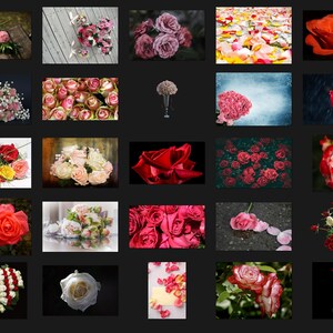 Red Roses Photoshop 200 Red Roses Photoshop Overlays: HD Textures, Backgrounds (digital ...