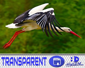 50 Storks PNG Overlays: Transparent Flying Birds (Digital Download)
