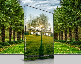 200 TREES PHOTOSHOP OVERLAYS, Digital Textures, Backgrounds, Backdrops, Photography, Trees, Forest, Nature, Spring, Wood, Leaves, Grass, Sun