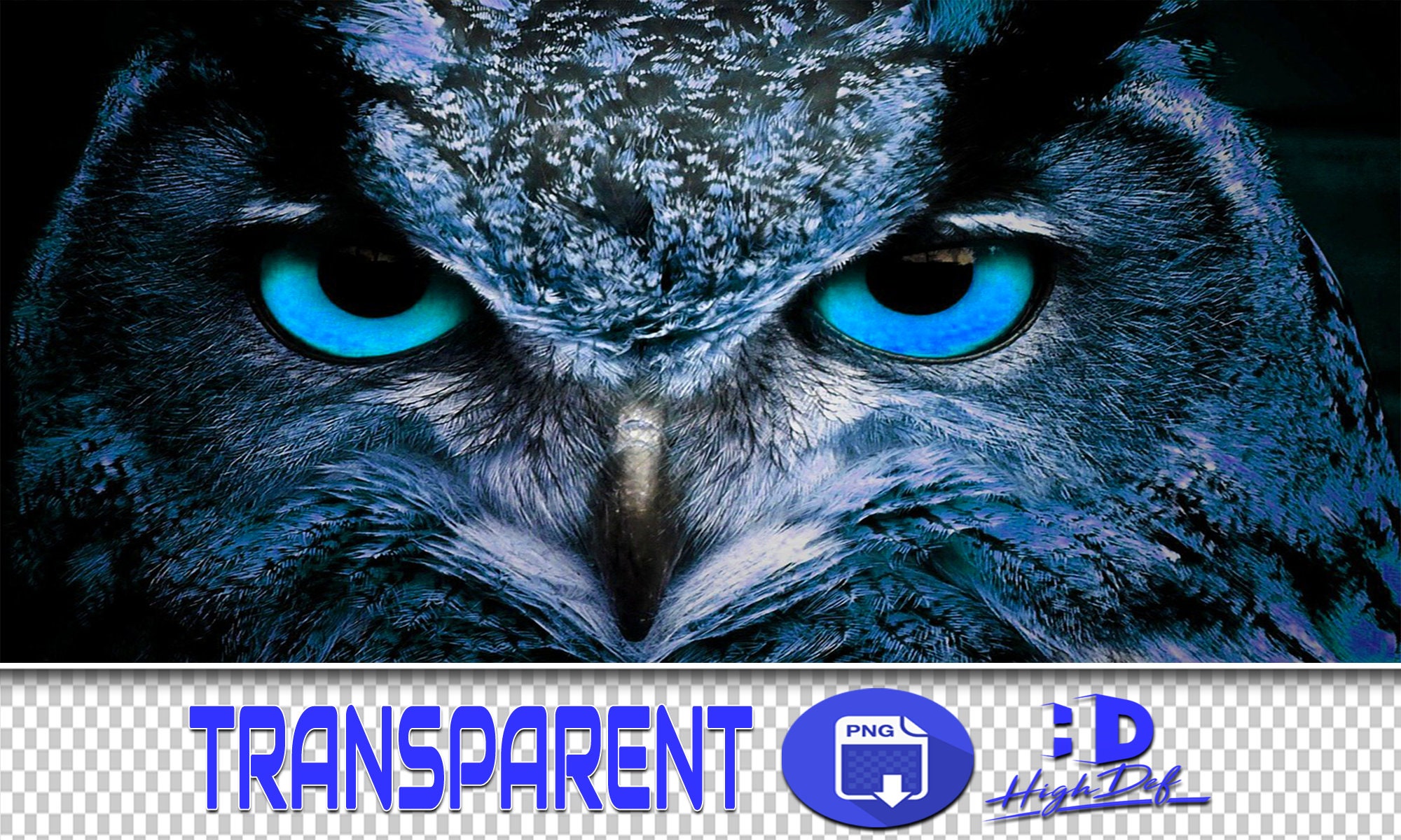 200 Owl PNG Overlays: Transparent Photoshop Clipart (Digital Download)
