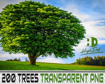 200 Trees Transparent PNG Overlays: Photo Texture (Digital Download)